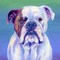 Cute English Bulldog by Rebecca W Art 13" x 13" Framed Wall Art